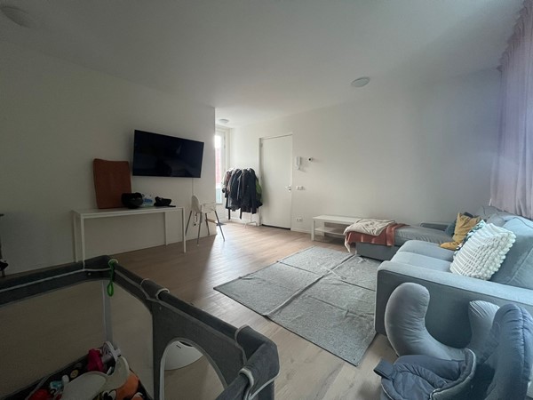 WhatsApp Image 2026-03-16 at 11.57.59.jpeg